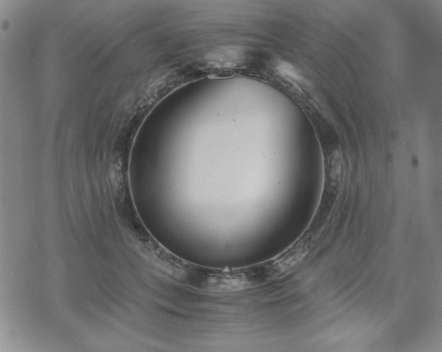 X0000073450559200608041030