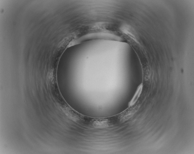 X0000073450560200608041030