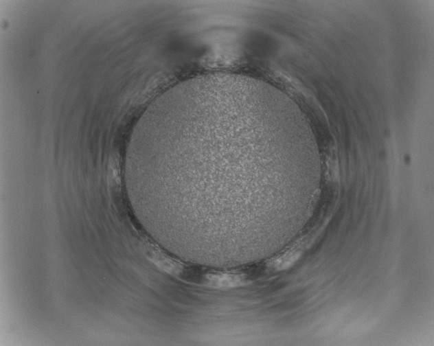 X0000073450561200608041030