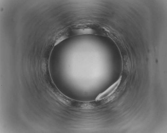 X0000073450562200608041030