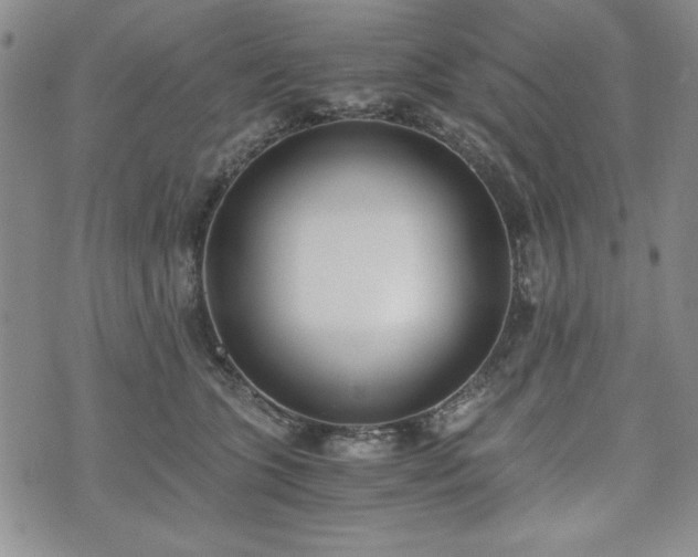 X0000073450563200608041030