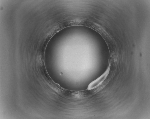 X0000073450564200608041030