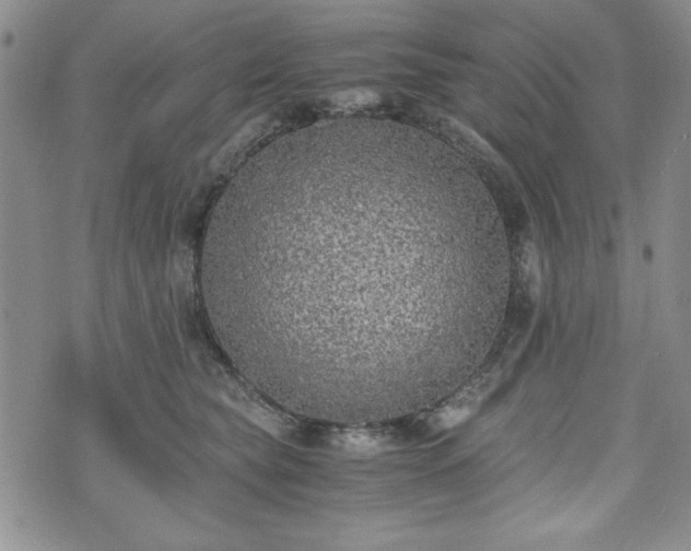 X0000073450565200608041030