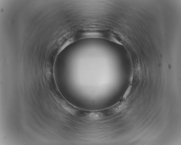 X0000073450566200608041030