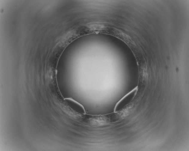 X0000073450567200608041030