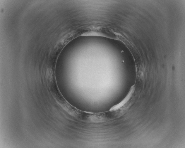 X0000073450568200608041030