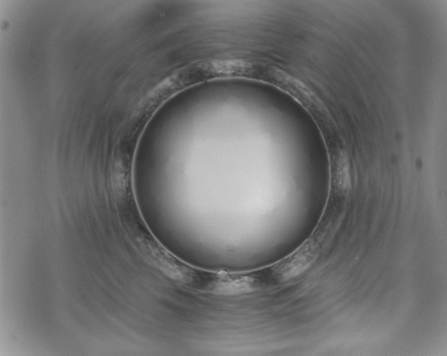 X0000073450569200608041030