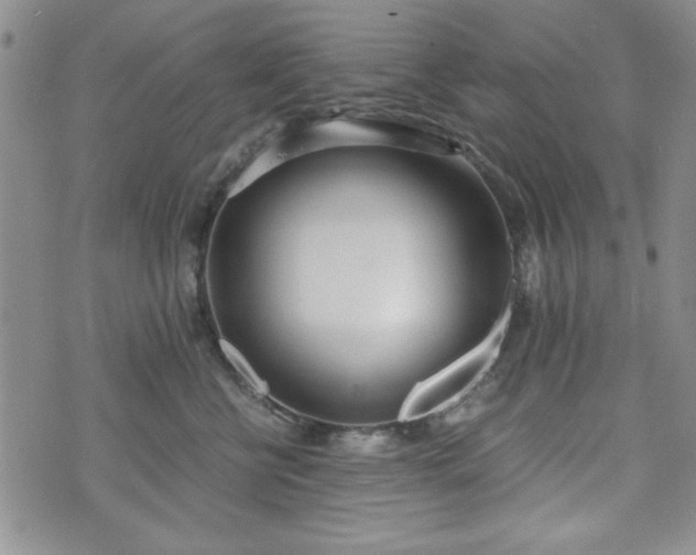 X0000073450570200608041030