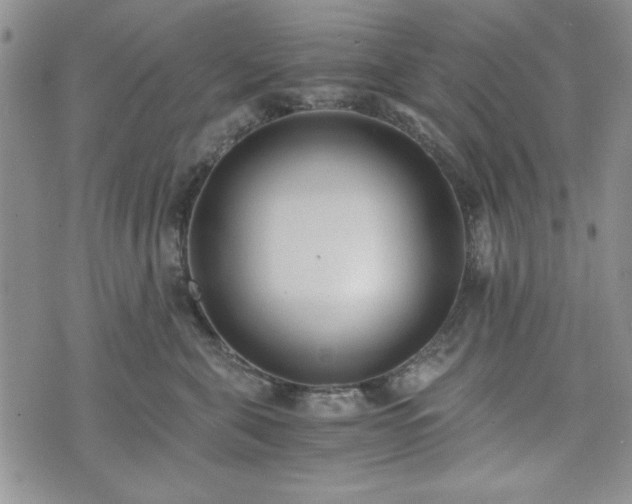 X0000073450571200608041030