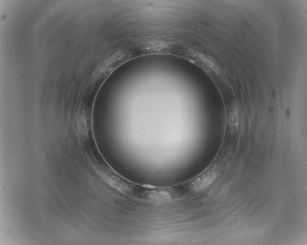 X0000073450572200608041030