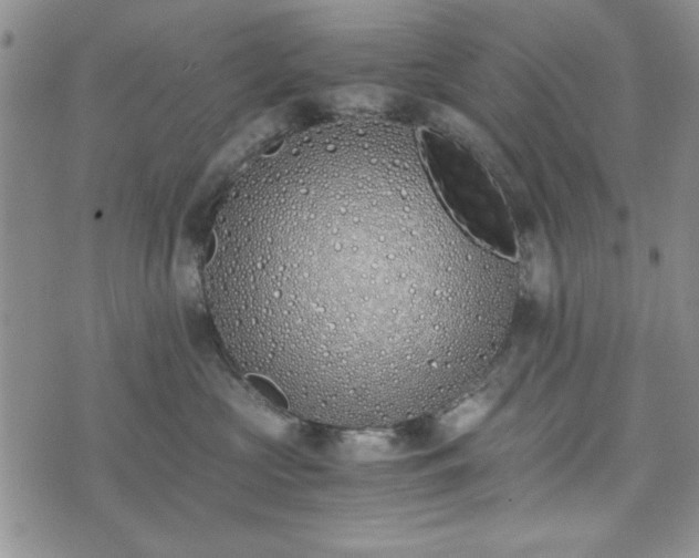 X0000073450573200608041031