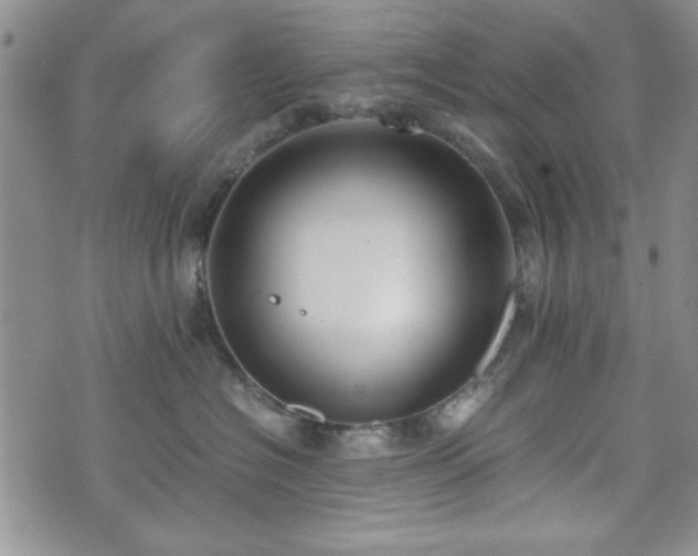 X0000073450574200608041031