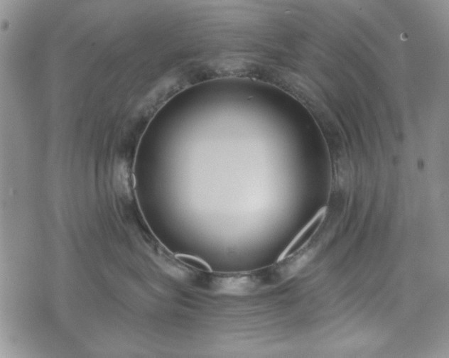 X0000073450575200608041031