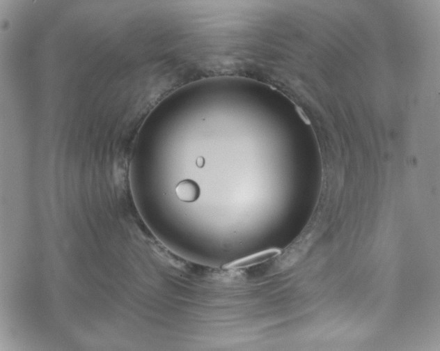 X0000073450576200608041031