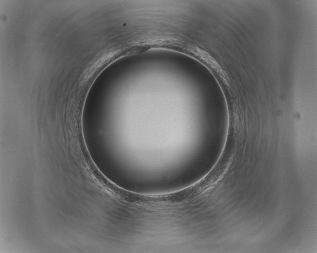 X0000073450577200608041030