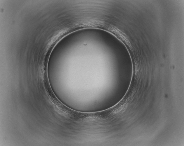 X0000073450578200608041030