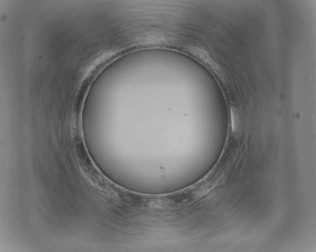 X0000073450579200608041030