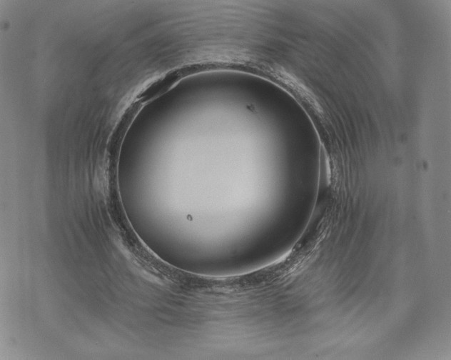 X0000073450580200608041030