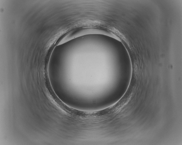 X0000073450581200608041030