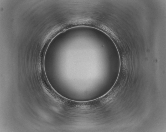 X0000073450582200608041030