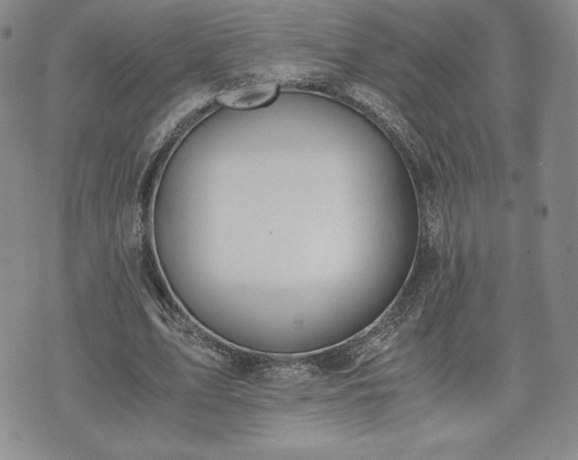 X0000073450583200608041030