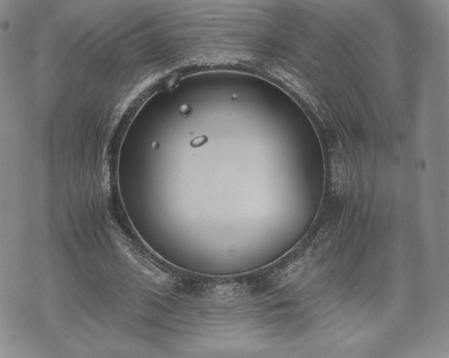 X0000073450584200608041030