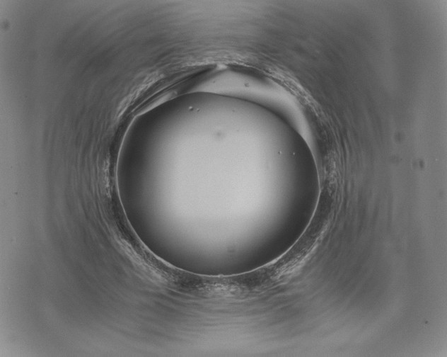 X0000073450585200608041030