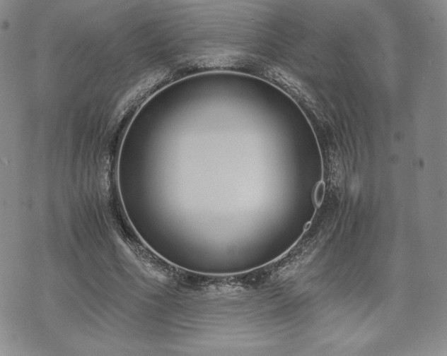 X0000073450586200608041030