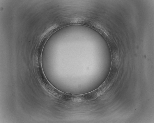 X0000073450587200608041030