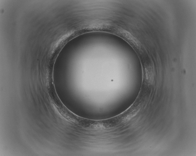 X0000073450588200608041030