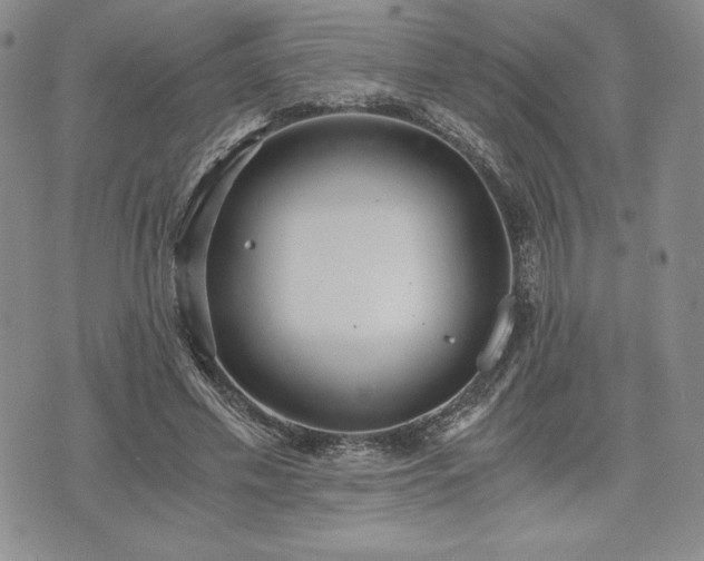 X0000073450589200608041030