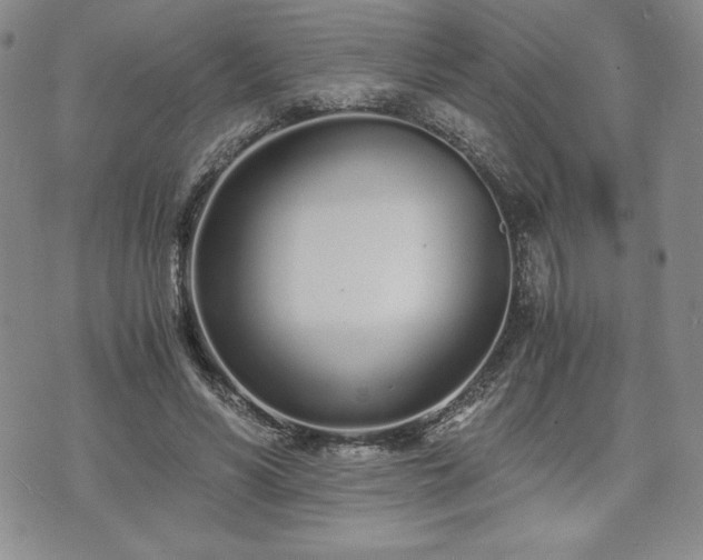 X0000073450590200608041030