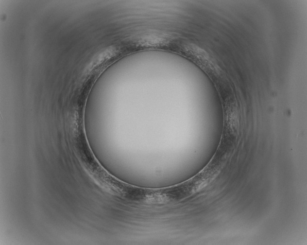 X0000073450591200608041030