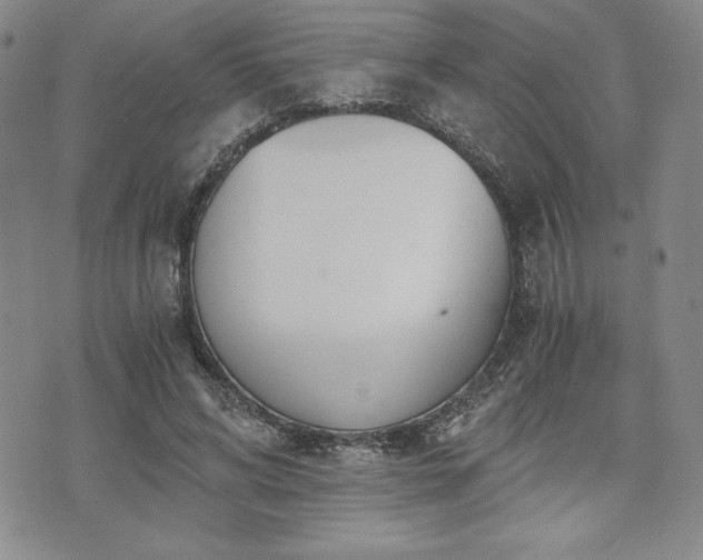 X0000073450592200608041030