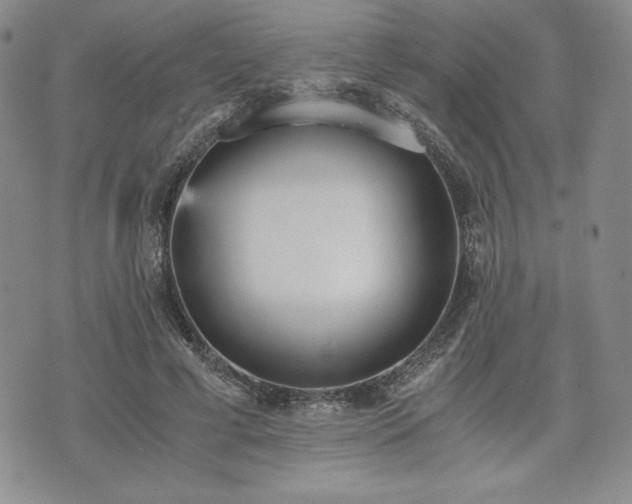 X0000073450593200608041030