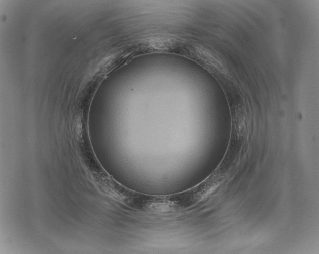 X0000073450595200608041029