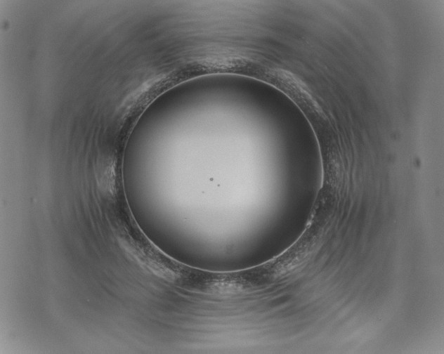 X0000073450596200608041029