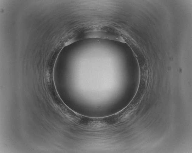 X0000073450597200608041029