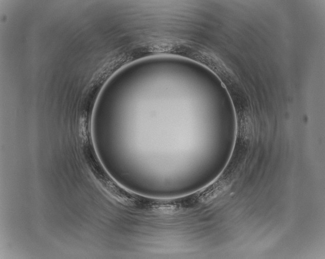 X0000073450598200608041029