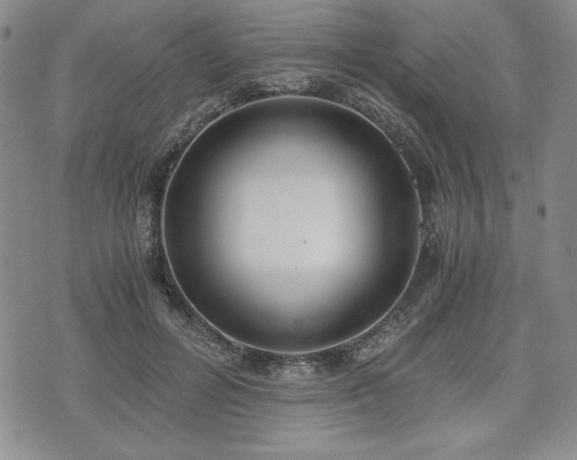 X0000073450600200608041029