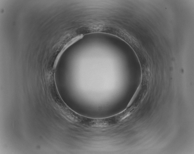 X0000073450601200608041029