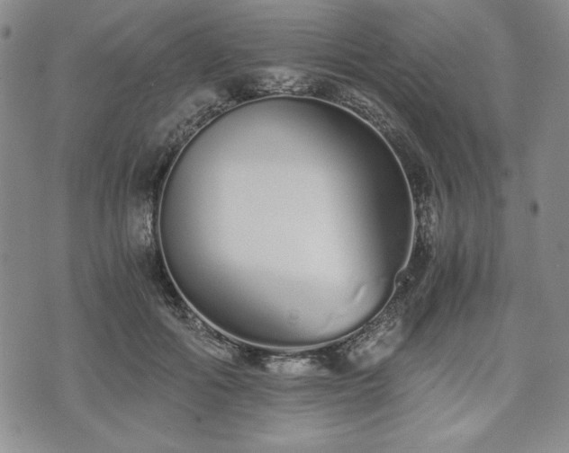 X0000073450602200608041029