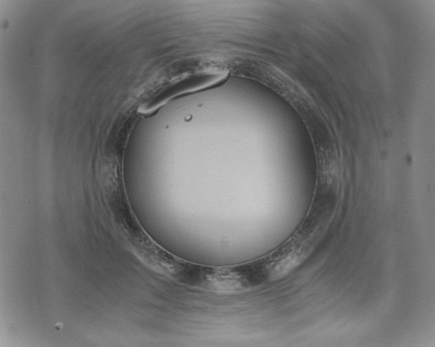 X0000073450603200608041029