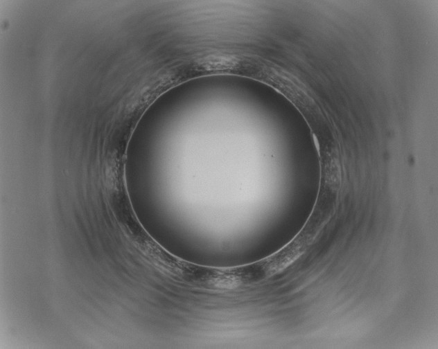 X0000073450604200608041029