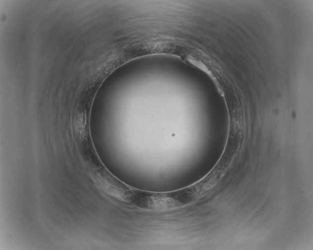 X0000073450605200608041029