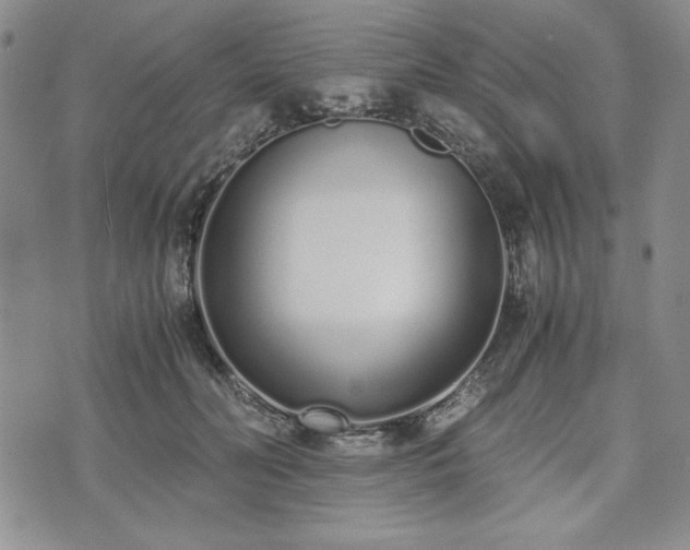 X0000073450606200608041029