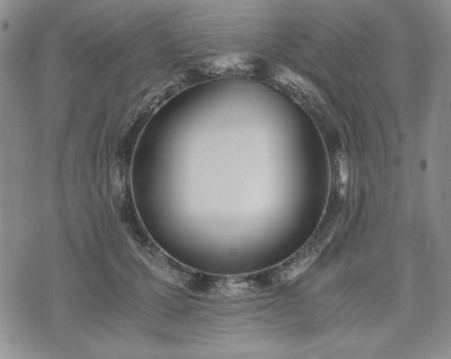 X0000073450607200608041029