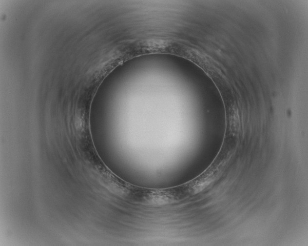 X0000073450608200608041029