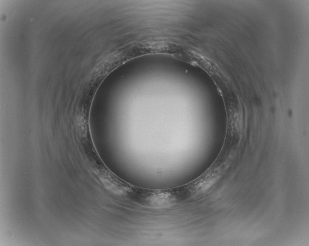 X0000073450609200608041029