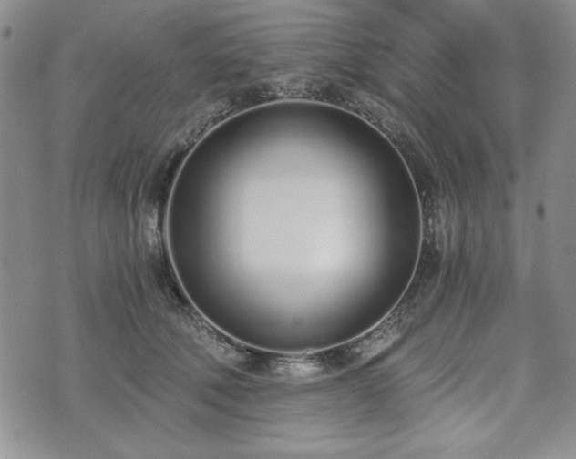 X0000073450610200608041029